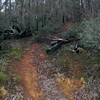 ancat > This is where it all begins at the start of Eight Mile Spur on the walk up to Refrigerator Gap and The Bluff.