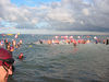 ancat > our teams are off and racing