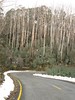 ancat > Falls Creek 28th July 2007 photo