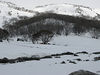 ancat > Jagungal wilderness 19th Aug 2007 photo