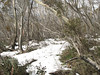 ancat > Jagungal wilderness 19th Aug 2007 photo