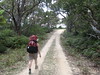 ancat > Gayle breaking trail
