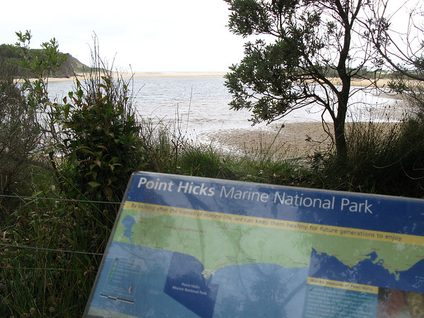 ancat > The start of the walk at Mueller river just up from Thurra river