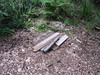 ancat > Underneath this wood is a soak, which is a metre deep hole in the sand that collects fresh water that runs off from the surrounding dunes