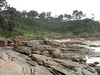 ancat > Croajingolong wilderness walk - Thurra river to Mallacoota 3rd Jan 2008 photo