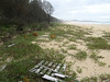 ancat > Croajingolong wilderness walk - Thurra river to Mallacoota 3rd Jan 2008 photo