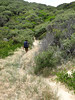 ancat > Croajingolong wilderness walk - Thurra river to Mallacoota 3rd Jan 2008 photo
