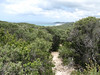 ancat > Croajingolong wilderness walk - Thurra river to Mallacoota 3rd Jan 2008 photo