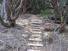 ancat > Croajingolong wilderness walk - Thurra river to Mallacoota 3rd Jan 2008 photo