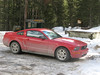 ancat > The Mustang.  Our rental car.