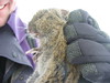 ancat > a frozen australian marsupial