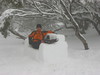 ancat > jono reclines on the snow lounge