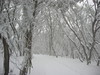 ancat > just another photo of the beautiful surrounds