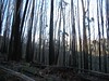 ancat > plenty of dry tooling potential in the alpine national park.