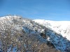 ancat > view towards mt bogong and more burnt eucalypts from the bushfires of 2003.