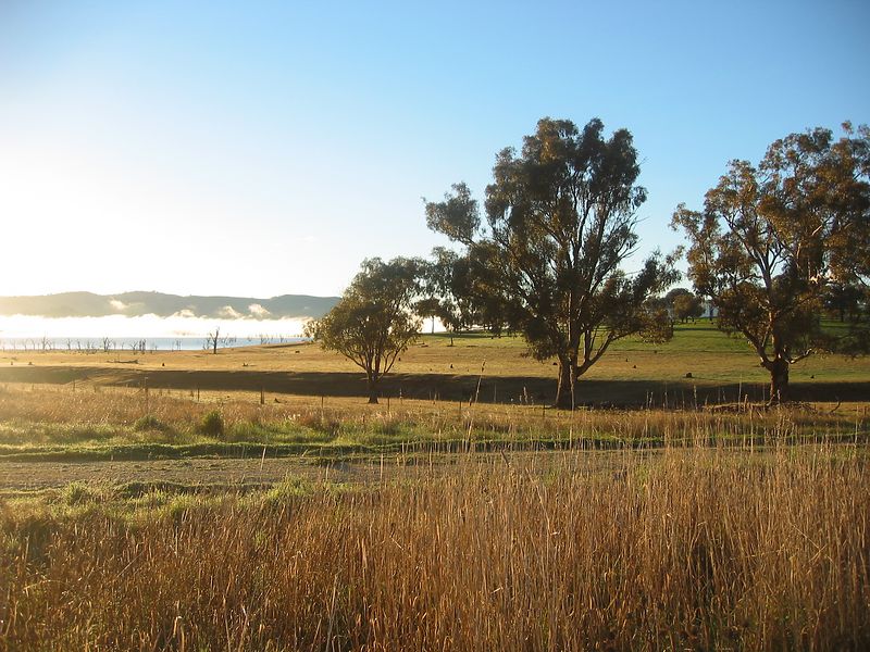ancat > morning fog over lake hume