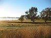 ancat > morning fog over lake hume